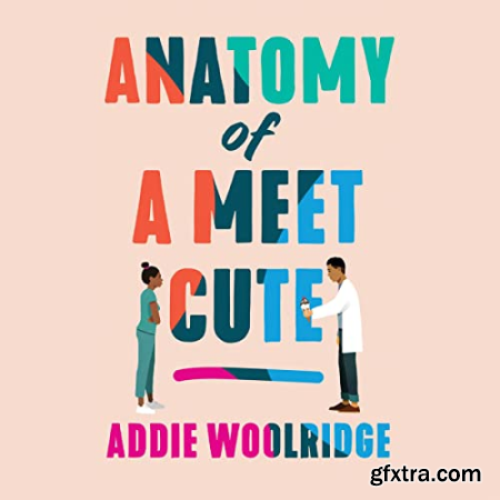 Anatomy of a Meet Cute [Audiobook]