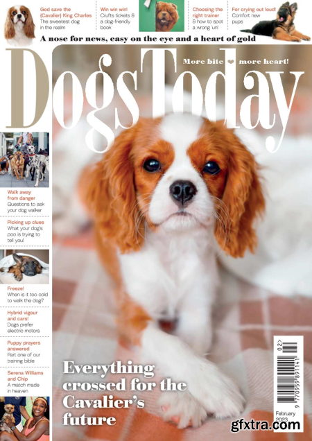Dogs Today UK - February 2023