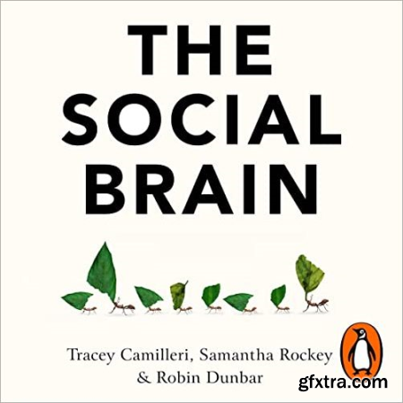 The Social Brain The Psychology of Successful Groups [Audiobook]