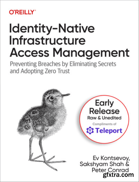 Identity-native Infrastructure Access Management (Third Early Release)