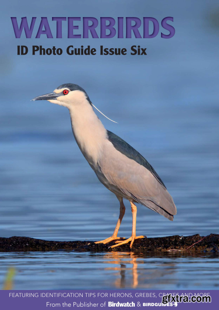 Bird ID Photo Guides - Number 6, 2023