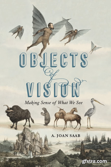 Objects of Vision Making Sense of What We See (PDF)