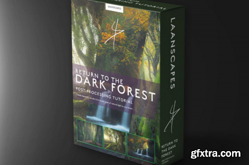 Daniel Laan - Return to the Dark Forest