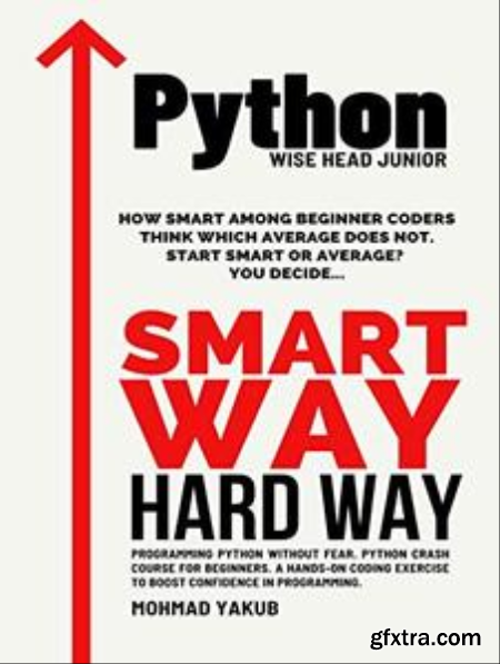 Python Wise Head Junior python programming quick reference