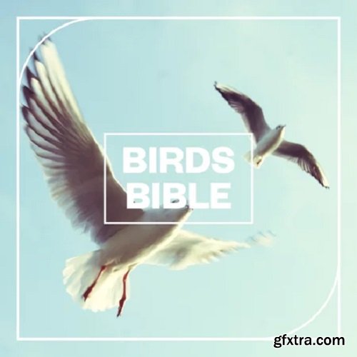 Blastwave FX Birds Bible
