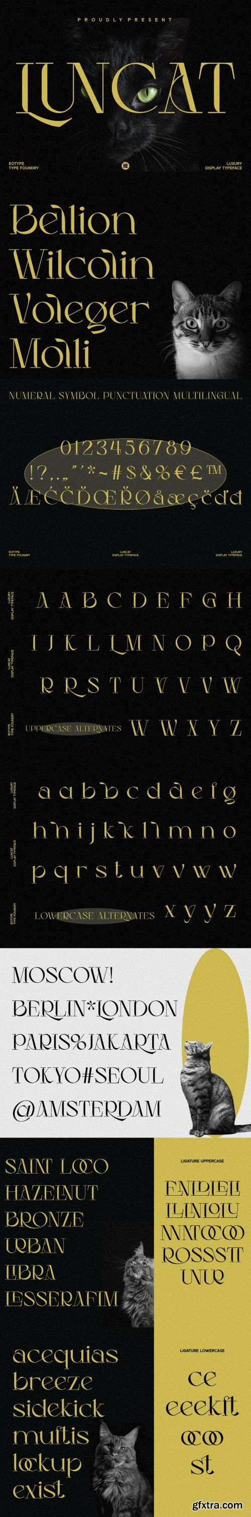 Luncat Display Typeface