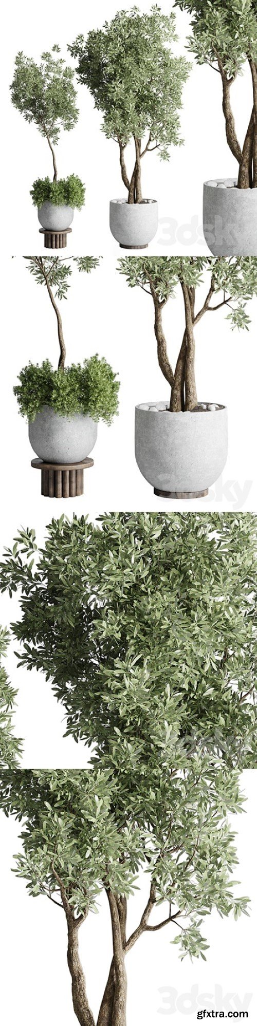 Collection Outdoor Indoor plant 52 concrete dirt vase pot tree