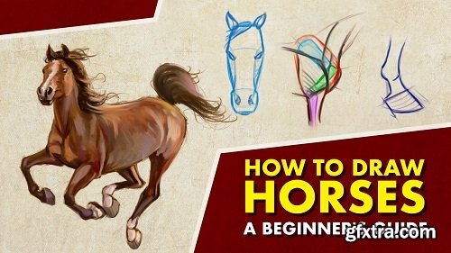 How To Draw Horses - A Beginner\'s Guide