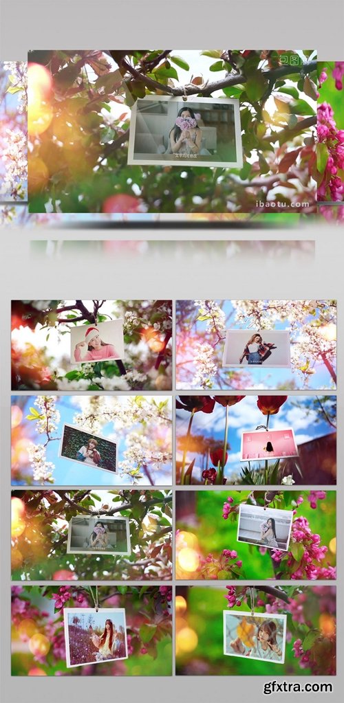 Summer Wedding Travel A Variety Of Flowers Picture Display Ae Template 672243