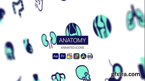 Videohive Anatomy Animated Icons 44950428