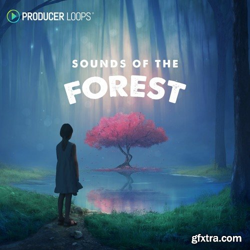 Producer Loops Sounds of the Forest