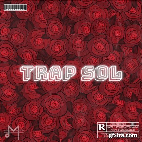 Dynasty Loops Trap Sol