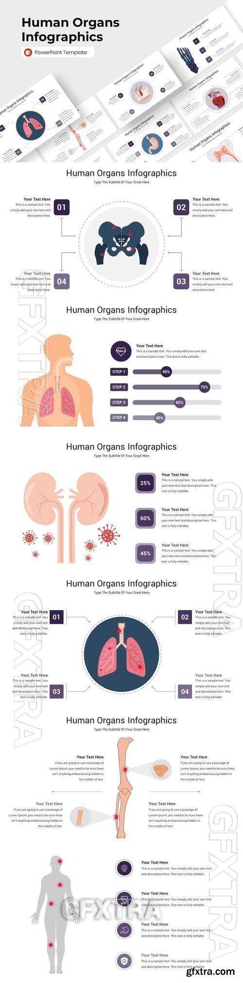 Human Organs Infographics PowerPoint Template AY5XUDE