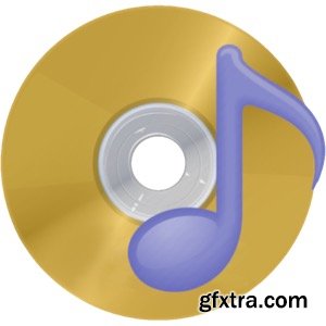 DVD Audio Extractor 8.5.0