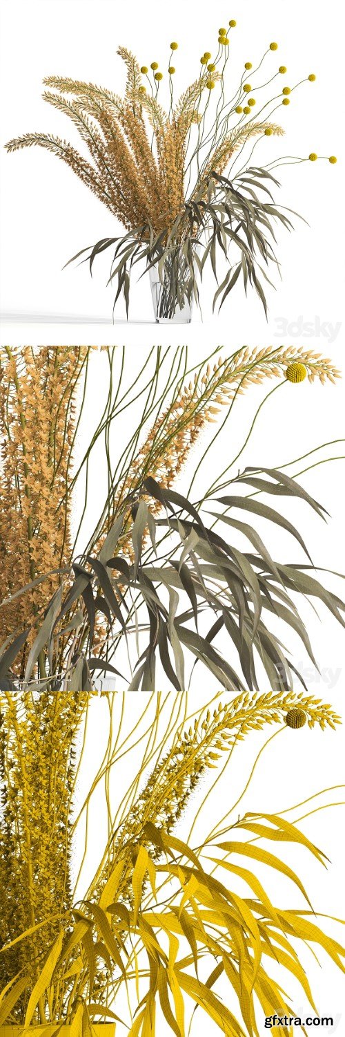 Eremurus & eucalyptus & craspedia bouquet