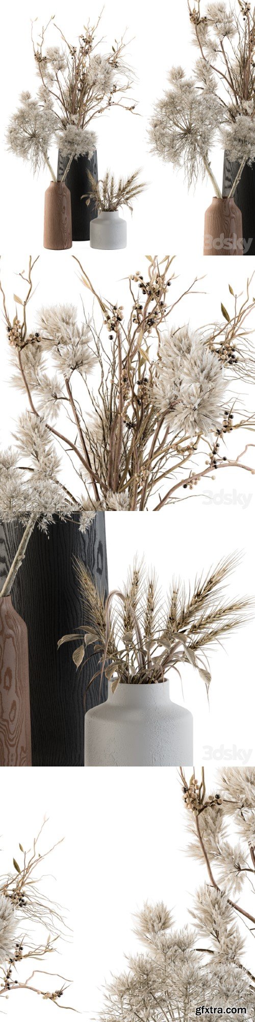 Dry plants 33 - Pampas and Dried Branch
