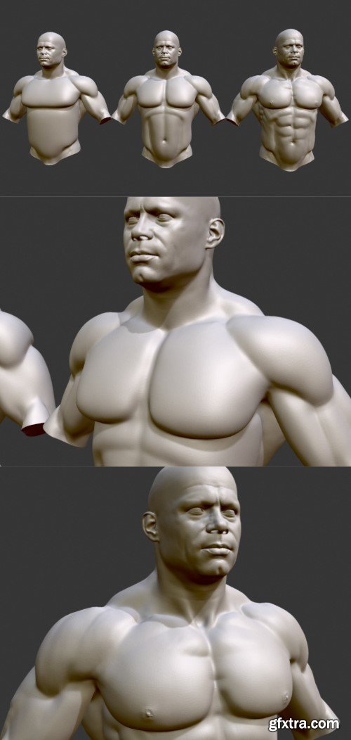 Sculpt Steps - Male Torso Anatomy 3D Model