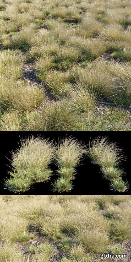 Eskdale grass