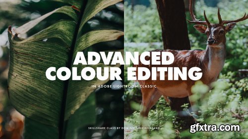 Adobe Lightroom Classic: Advanced Workflow & Tips for Enhancing Your Color Edits