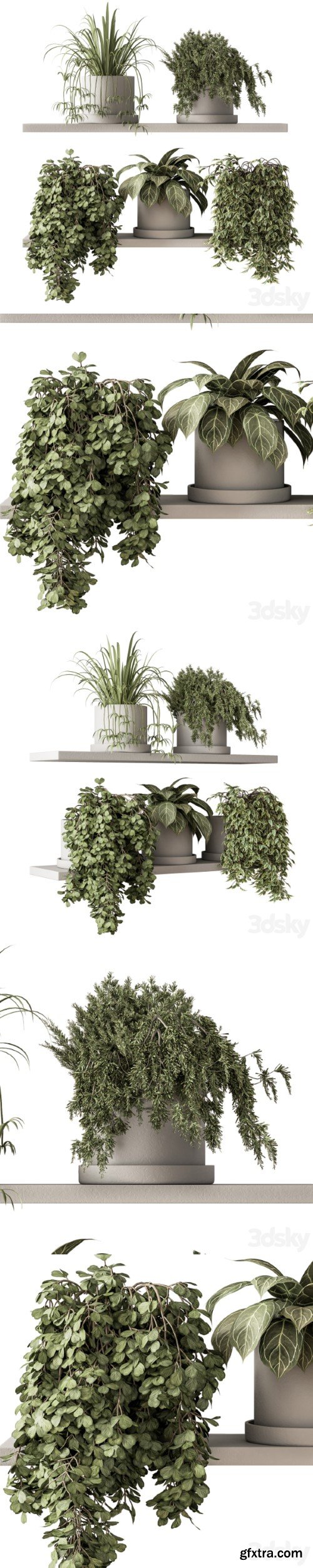 indoor Plant Set 281 - Plant pot on shelves