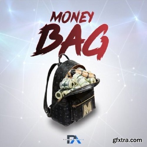 Phyness Audio Money Bag