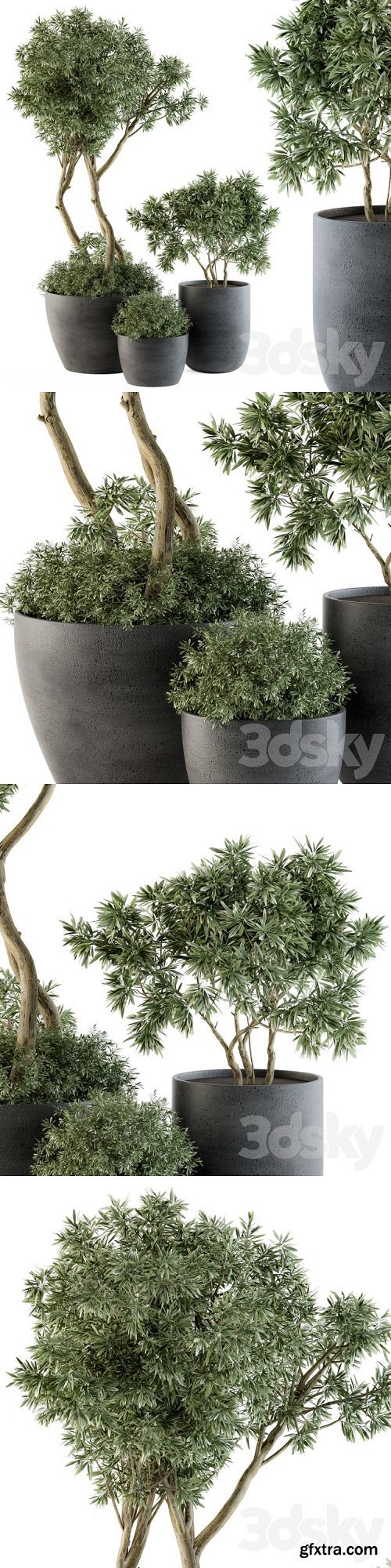 Outdoor Plants Tree in pot – Set 90