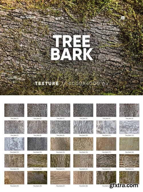30 Tree Bark Textures HQ VHD49PN