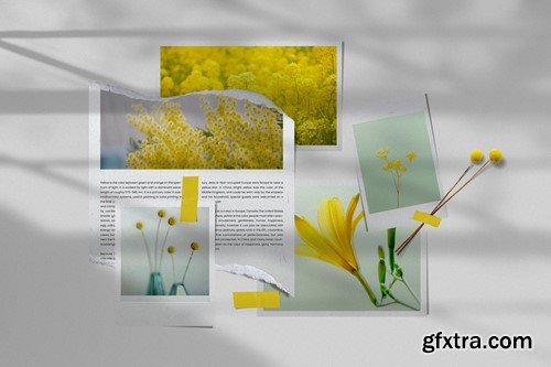 Photo Collage Mockup Template PWR4C9S