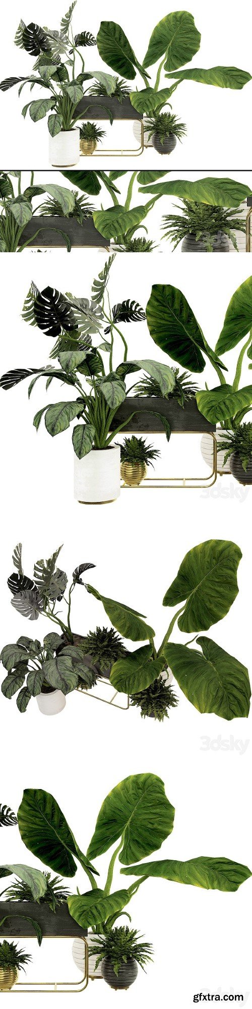 Plant Collection Set 07