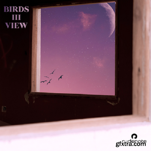 Rudenote Birds iii View