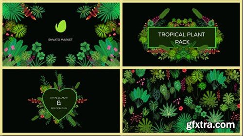 Videohive Tropical Plant Pack 20676721