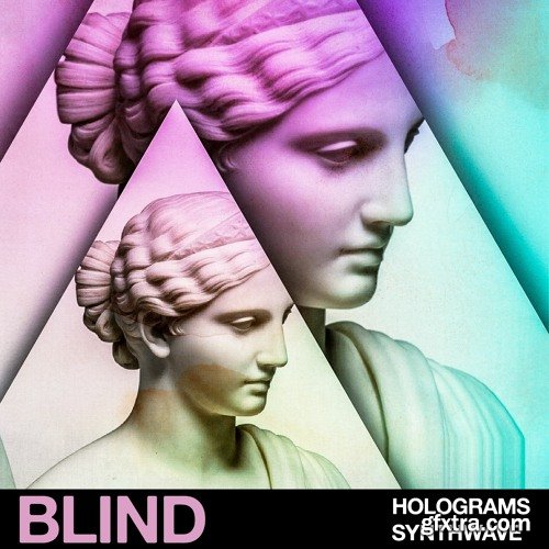 Blind Audio Holograms: Synthwave