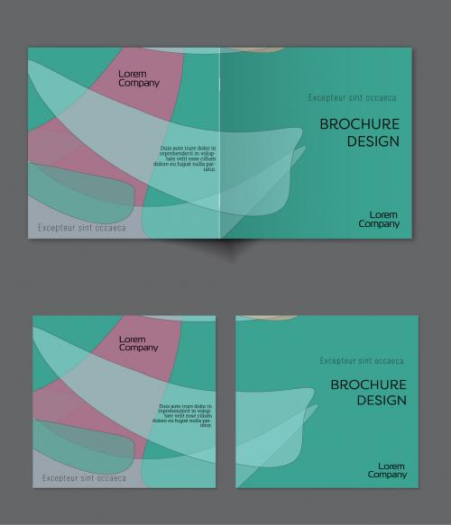 Brochure Cover Layout with Abstract Overlapping Pastel Transparent Shapes 589228537