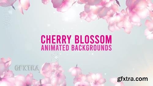 Cherry Blossom Flowers Pack 1552333