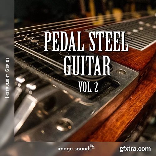 Image Sounds Pedal Steel Guitar 2