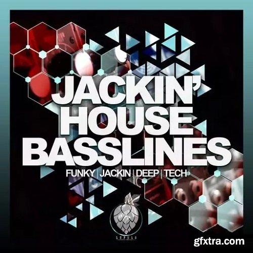 Dirty Music Jackin House Basslines