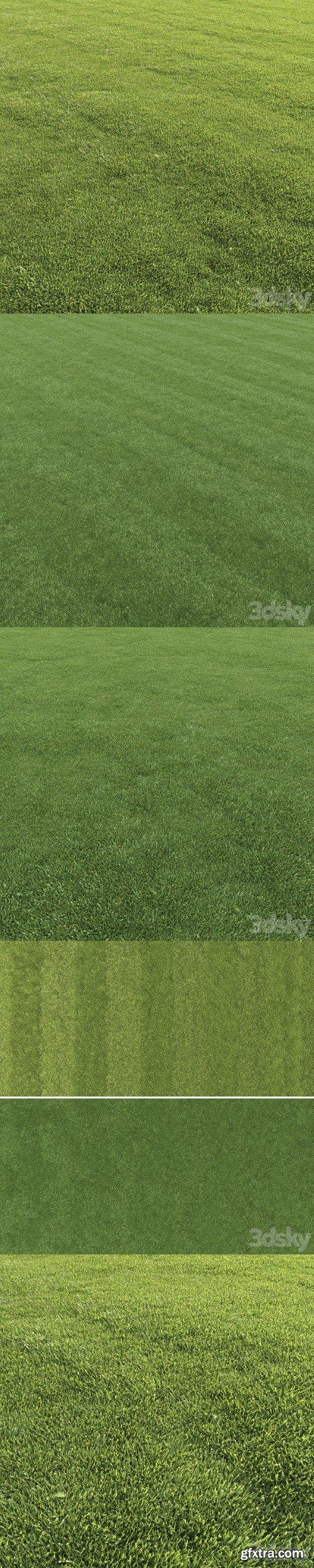 Pro 3DSky - Lawn grass