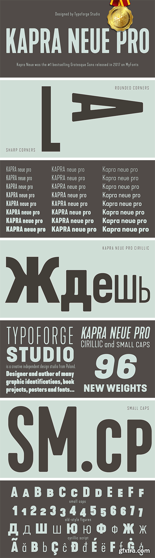 Kapra Neue Pro Font Family