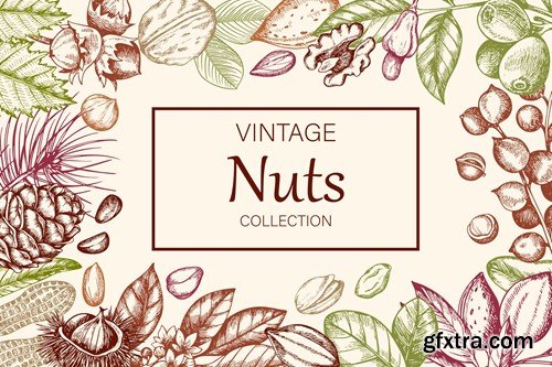 Vintage Nuts Design Kit YSG8U44
