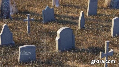 Crosses And Tombstones On Grassy 1603966