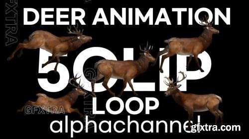 Deer Animation Loop Pack 1503239