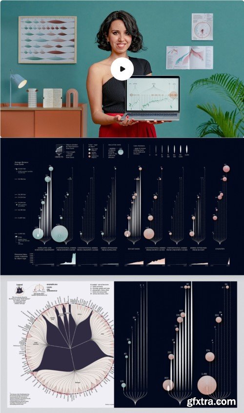 Domestika - Creative Data Visualization for Narrative Designs