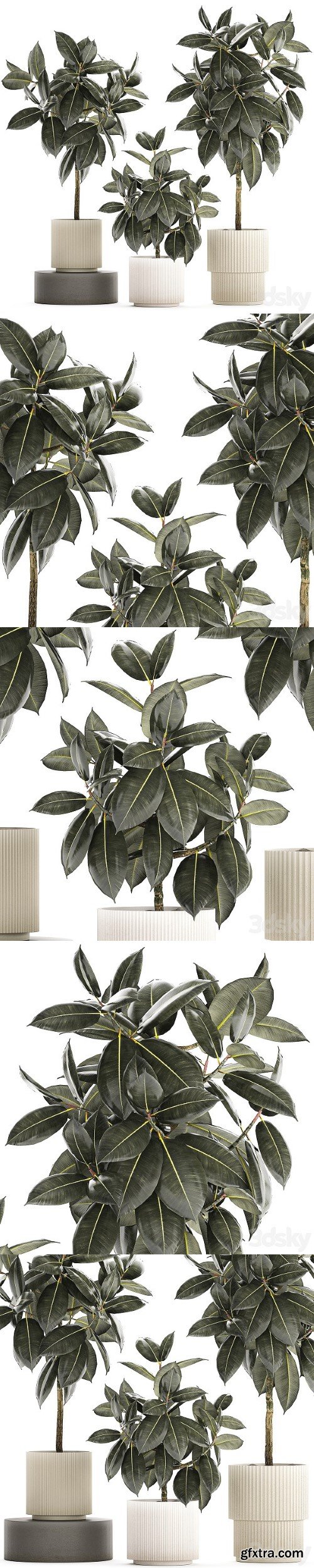 Pro 3DSky - A Beautiful Interior Plant in A Modern Flowerpot