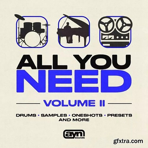 AYN Sounds All You Need Vol II