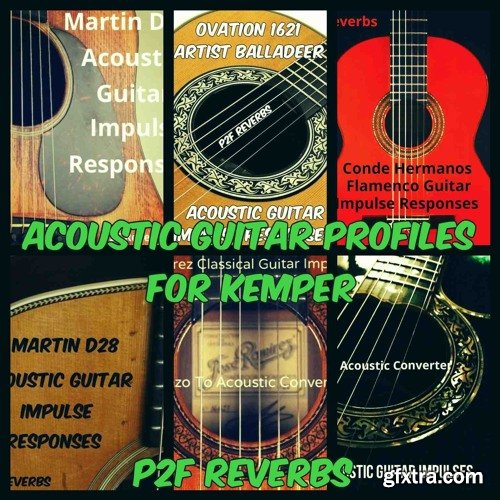 PastToFutureReverbs Acoustic Guitar Profiles for Kemper