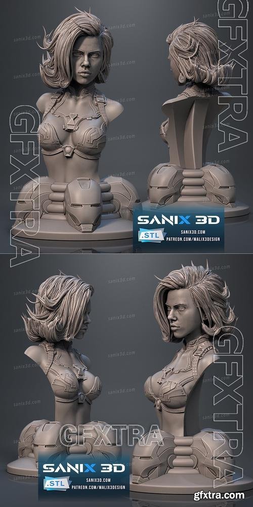 Sanix - Iron Widow bust – 3D Print Model