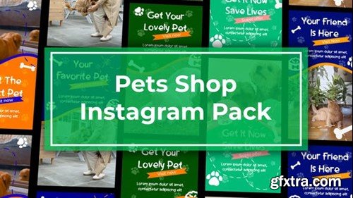 Videohive Pets Shop Instagram Reels 47465669