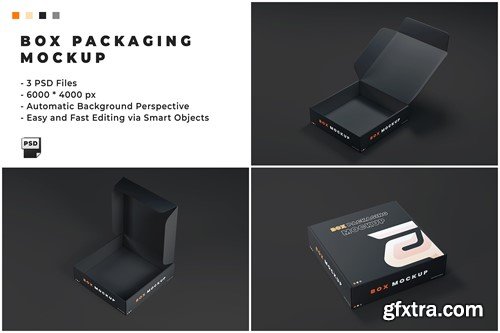 Box Packaging Mockup AASGNML