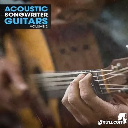 New Beard Media Acoustic Songwriter Guitars Vol 2