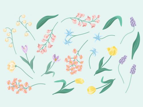 Spring Flowers 565843678